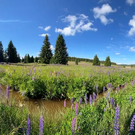 Miky Klinovec Meadow *