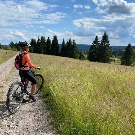 Appartement Miky Klinovec Meadow Loučná pod Klínovcem