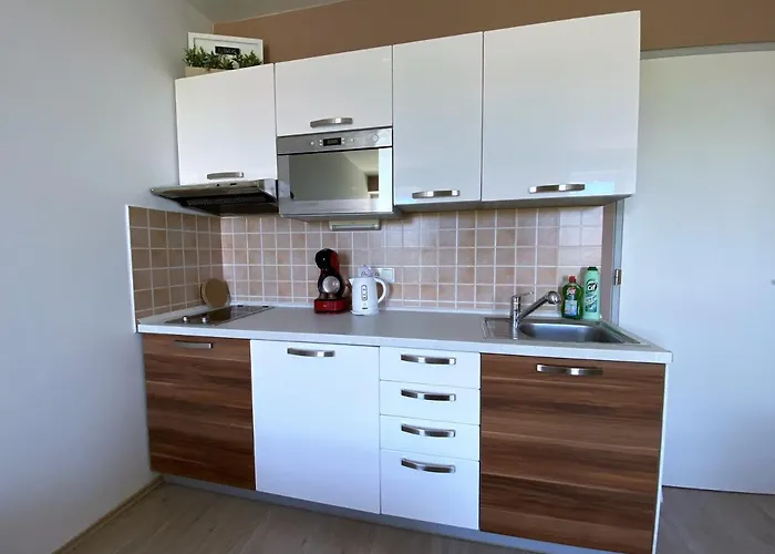 Miky Klínovec Meadow Apartamento Loučná pod Klínovcem
