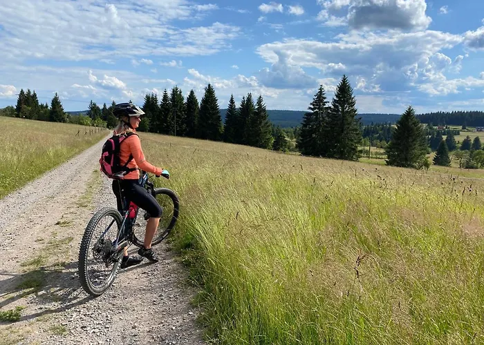 Apartamento Miky Klínovec Meadow Loučná pod Klínovcem