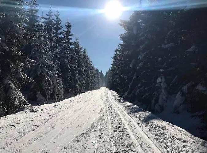 Miky Klínovec Meadow Apartamento