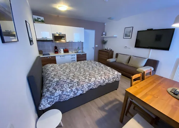 Miky Klínovec Meadow Apartamento Loučná pod Klínovcem